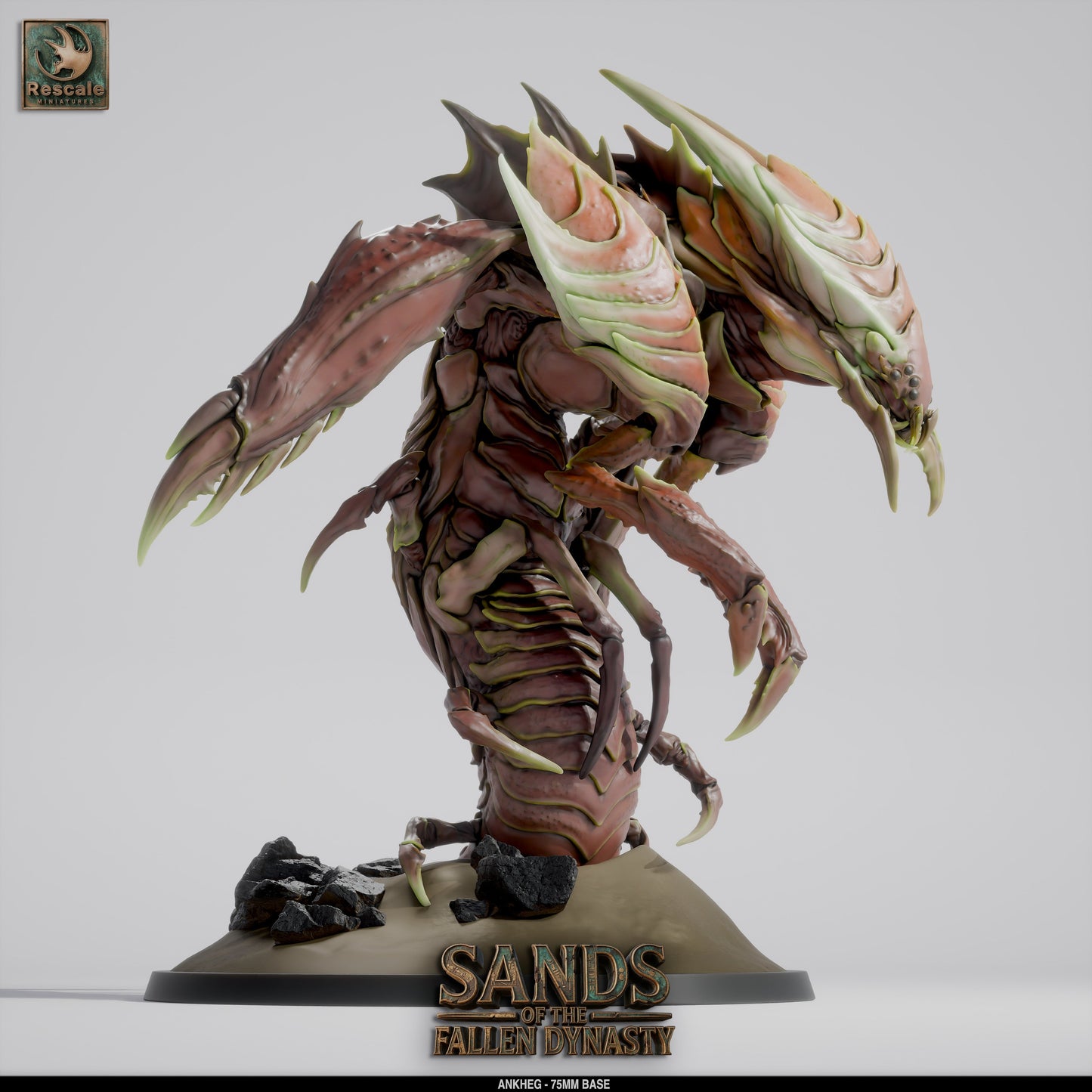 🐜 Ankheg | 12K Resin 75mm Burrowing Monster for D&D & RPGs 🌍